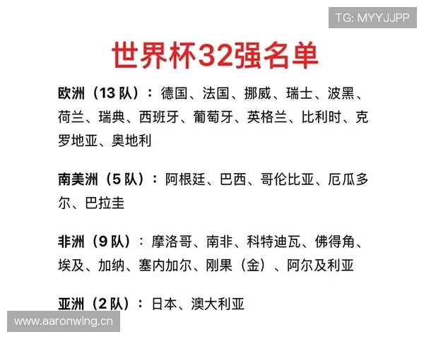南非队32强比赛信息：淘汰赛首轮资料汇总